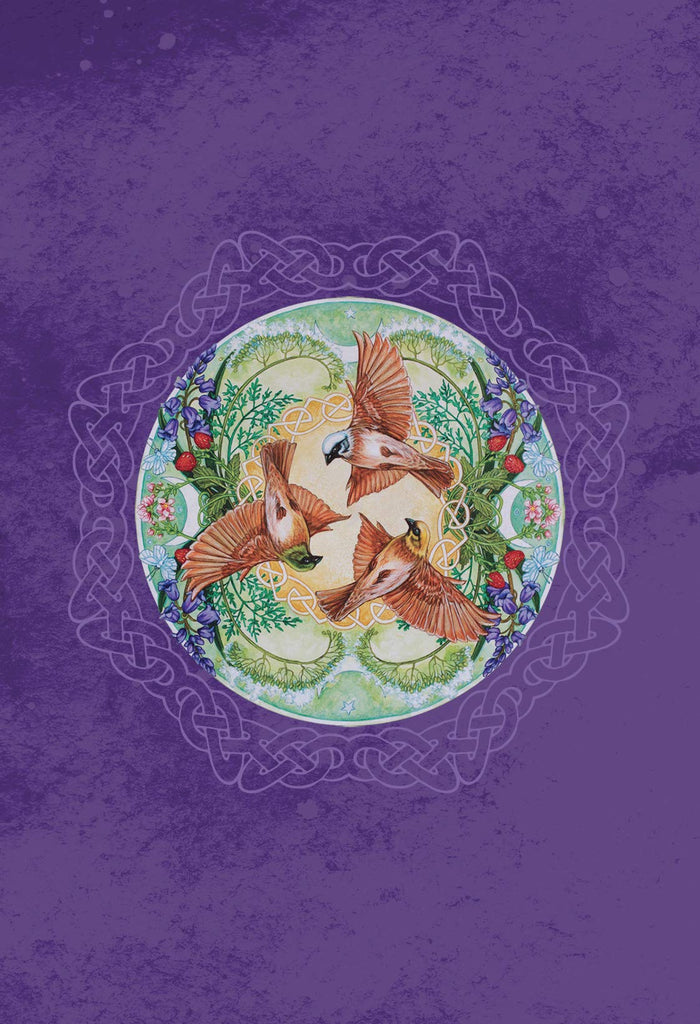 Earthstore® PRICE - Blessed Be Cards: Mystical Celtic Blessings to Enrich and Empower