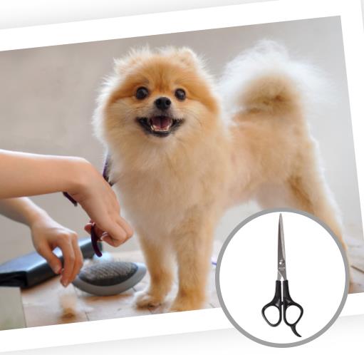 Rechargeable Pet Grooming Low Noise Clipper Kit 🇬🇧