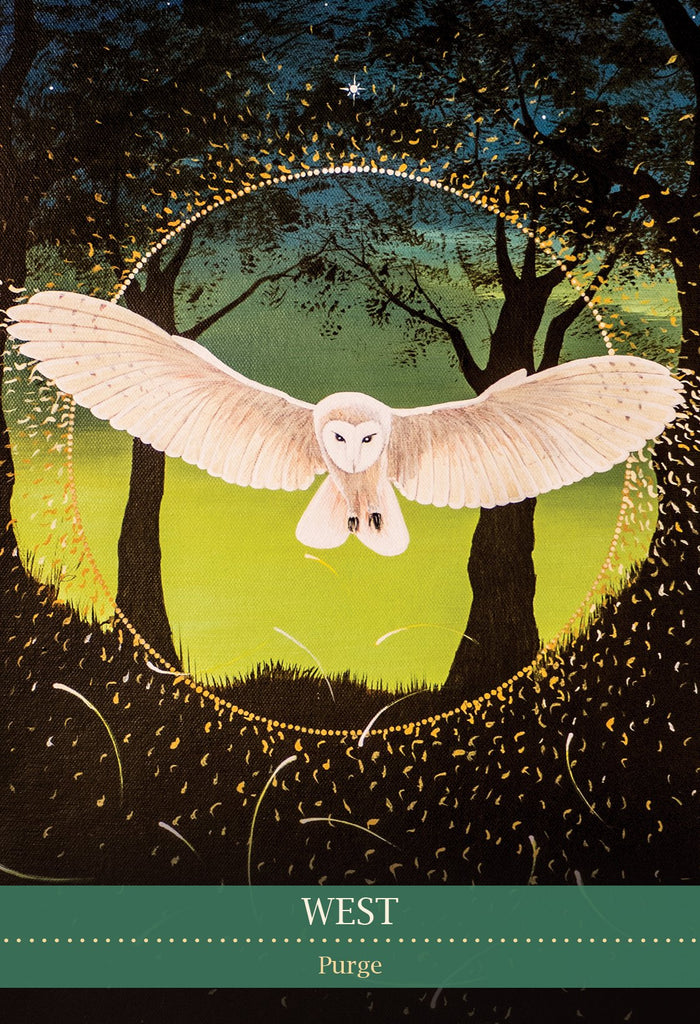 Earthstore® Shamanic Medicine Oracle Cards
