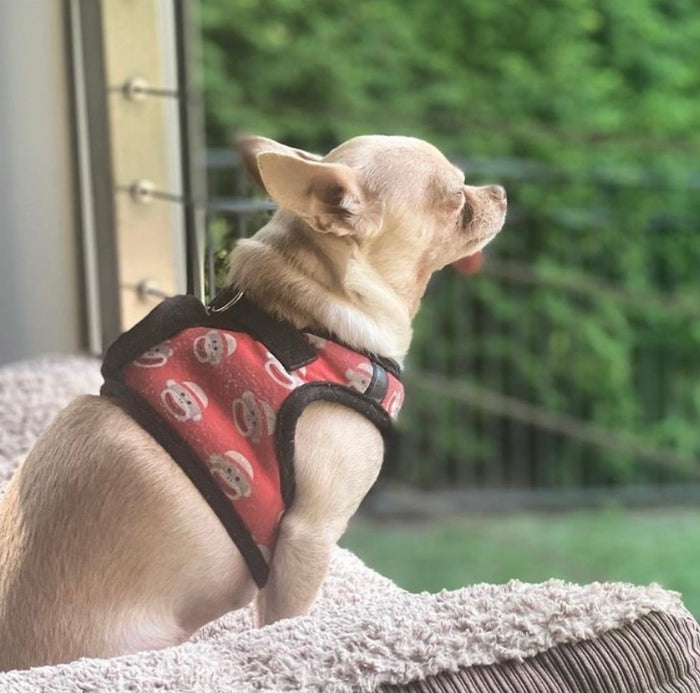 Sidekick Harness | Sock Monkey