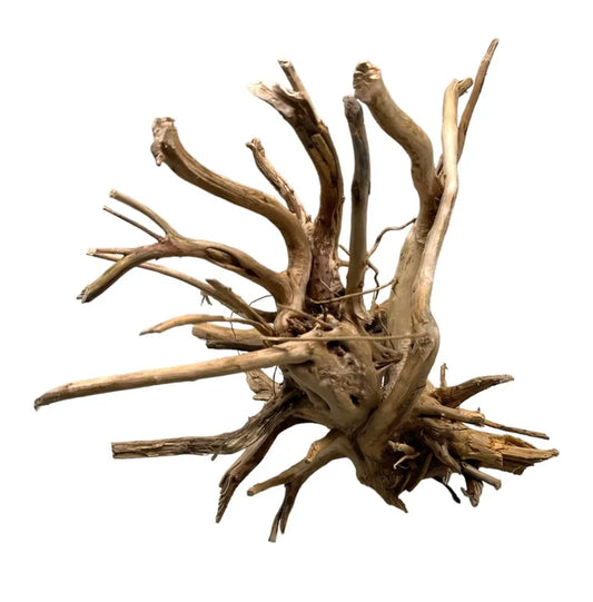Spider Wood branch — natural aquarium driftwood with organic curves