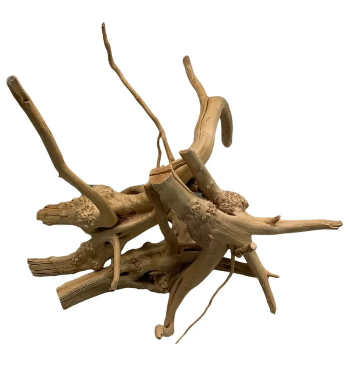 Spider Wood aquarium driftwood piece with natural curves and knots