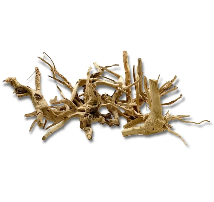 Dried Spider Wood branch with natural light brown texture