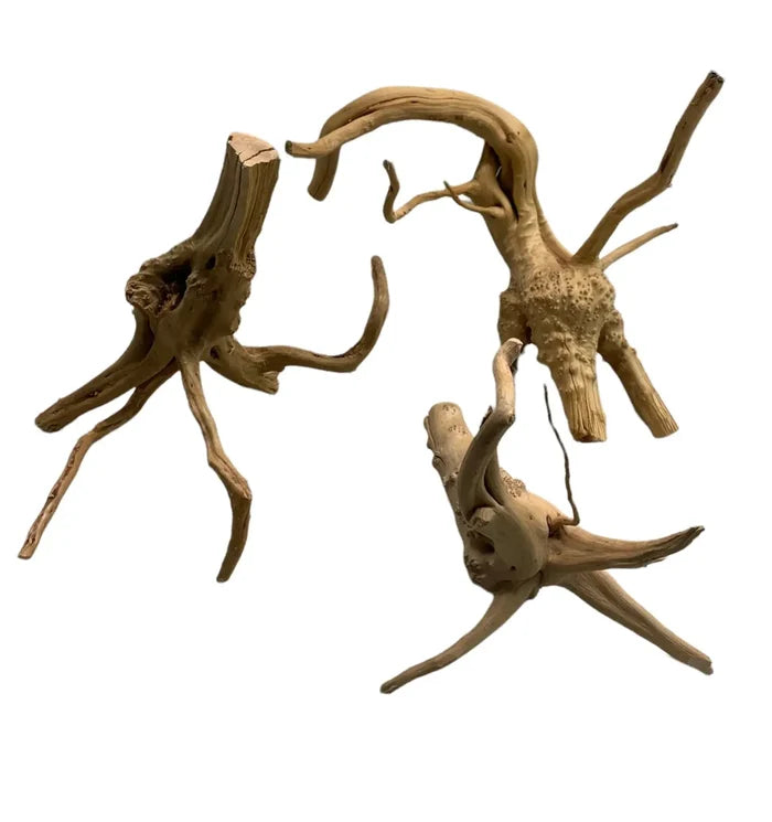 Set of three Spider Wood branches — natural aquarium driftwood
