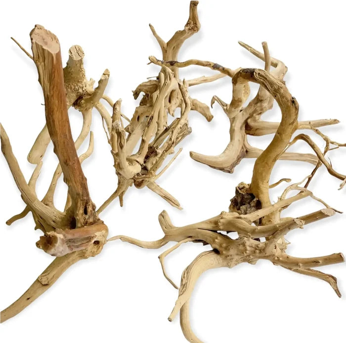 Driftwood Spider Wood branch in light brown tan hues with organic texture