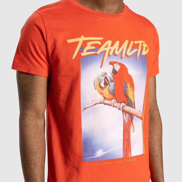 TEAMLTD Macaw Tee