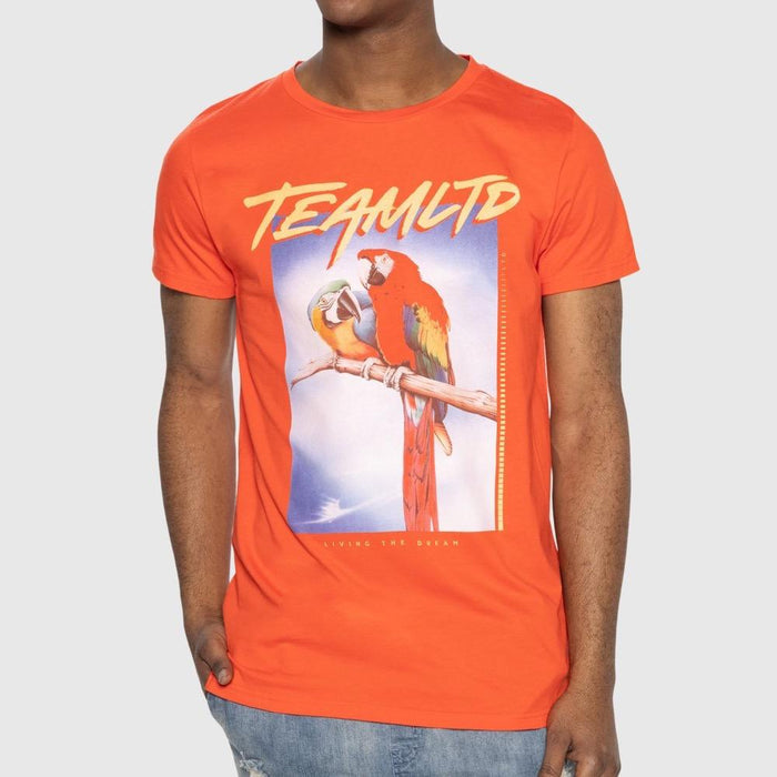 TEAMLTD Macaw Tee