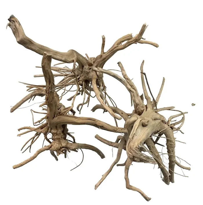 Tiger Wood — natural aquarium driftwood with intricate weathered branches