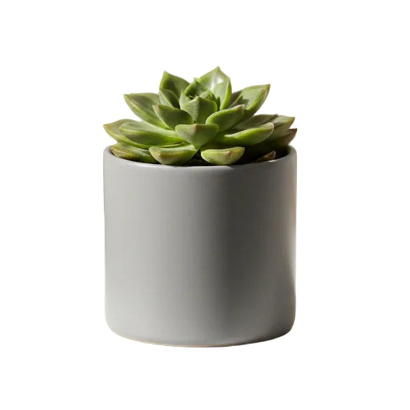 Also Home Tilli Kumla Small Pot - Waha Lifestyle