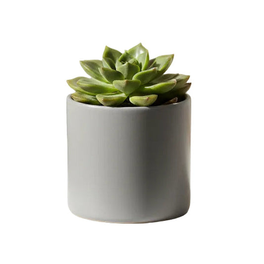 Also Home Tilli Kumla Small Pot - Waha Lifestyle